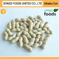 Packing Peanut Agricultural Products Peanut Inshell